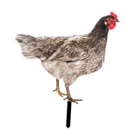 Ioensy - Estatua De Jardín De Pollo, Estaca, Adorno De Césped Para Gallina, Regalo Exterior, Patio De Gallo, Estilo Artístico B