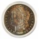 thumbnail image 5 of Cápsulas para monedas Guardhouse 38,1 mm para dólar grande, paquete de 10, 5 of 6