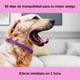 thumbnail image 2 of Collar Calmante Perro Ajustable Calma Ansiedad Relajante, 2 of 5