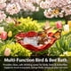 thumbnail image 4 of Estaca jardín flor metal hecha mano baño pájaros comedero agua mariposas césped decoración, 4 of 7