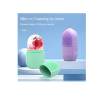 Genérico - Molde Rodillo Hielo Facial Silicona Ice Stick