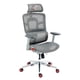 thumbnail image 1 of Silla Ergonómica DRAGSTER M3 TriMesh Gray, 1 of 6