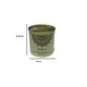 thumbnail image 4 of Aromatizador De Ambiente En Lata Aroma Frutos Del Bosque, 4 of 4