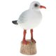 thumbnail image 4 of Plástico pájaro animal modelo figura ni?os regalo educativo juguete gaviota de cabeza negra, 4 of 5