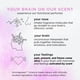 thumbnail image 3 of Perfume Pacifica French Lilac Spray vegano, libre de crueldad animal, 29 ml, 3 of 3