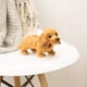 thumbnail image 2 of Peluche DEMDACO Dachshund marrón claro para niños, 2 of 6