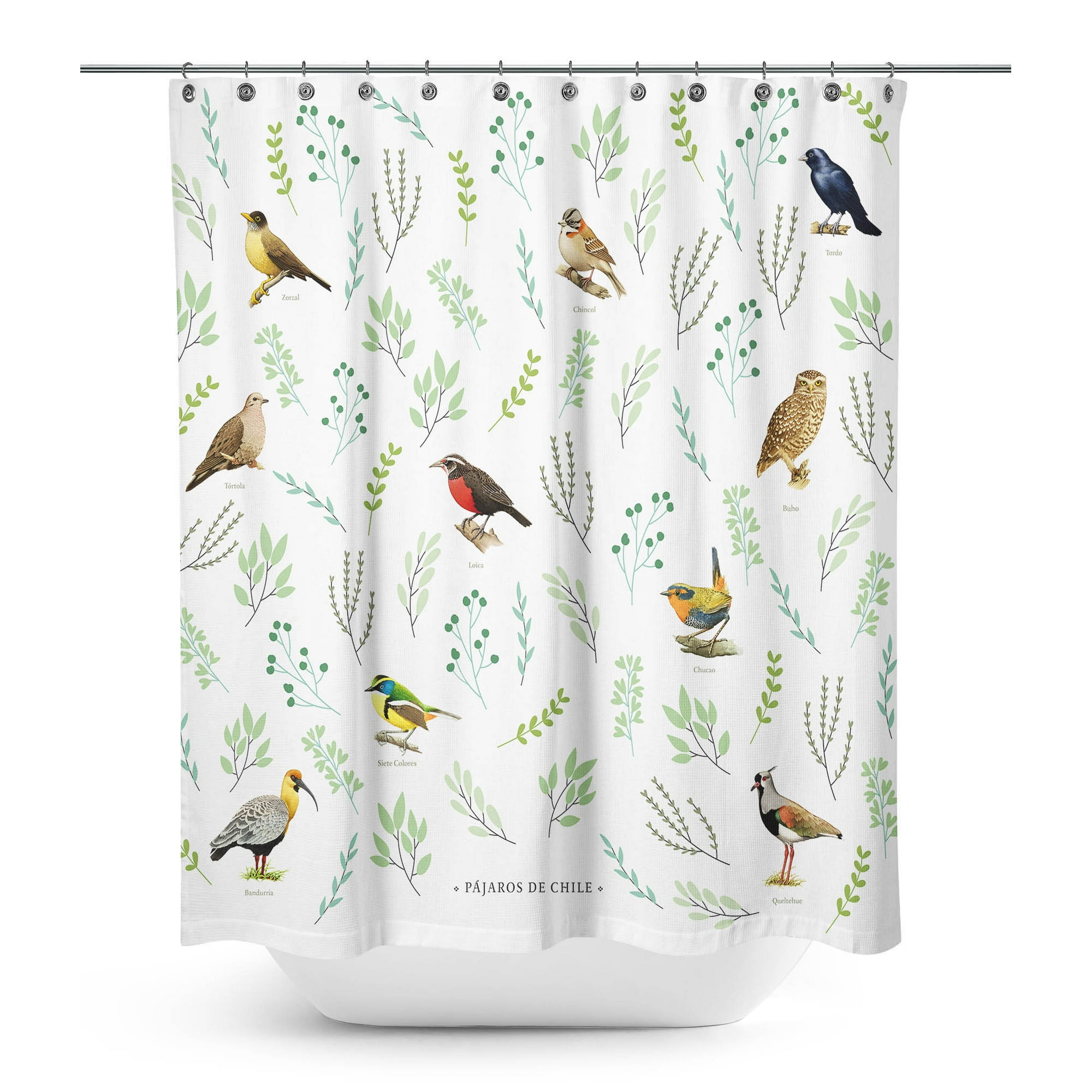 Andes1 - Cortina De Baño Selección De Pájaros De Chile
