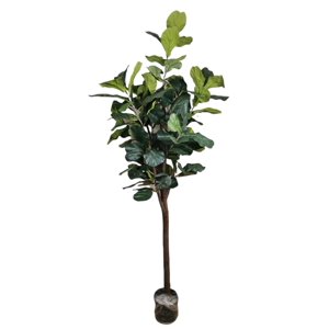 Corel - Planta Decorativa Árbol De Fiddle Tronco Grueso 180 Cm