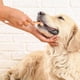 thumbnail image 3 of Cepillo de Dientes para perros 3D Triple Cerda Limpieza Hocico, 3 of 3