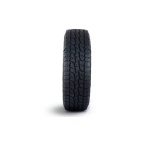 Neumático 235/60R16 Tracción Sl369 100H Tl Goodride
