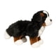 thumbnail image 2 of Peluche Douglas Stevie Bernese Mountain Dog 25 cm, 2 of 9