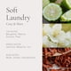 thumbnail image 2 of Perfume Classic Soft Laundry 60 Ml Para Mujer, 2 of 7