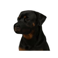 Genérico - Bozal Ajustable Con Velcro Perro Talla Xl 22X28 Cm Negro Xl