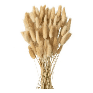 Genérico - Planta Artificial Cola De Conejo Decoración