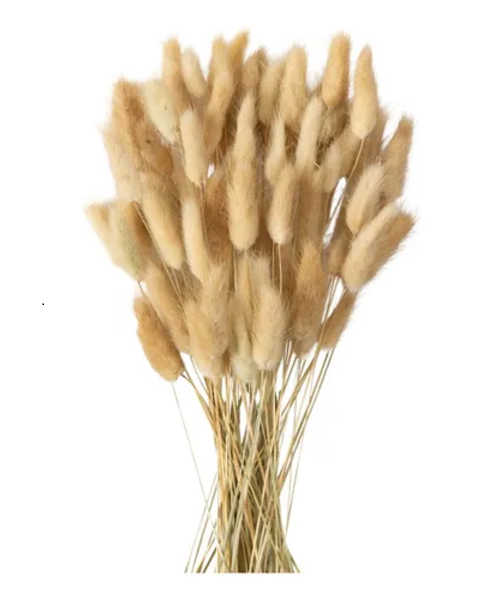 Genérico - Planta Artificial Cola De Conejo Decoración