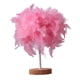 thumbnail image 2 of Lámpara De Mesa De Plumas Moderna, Luz De Escritorio, Romántica Para Boda, Dormitorio, Sala De Estudio, Rosa, 2 of 5