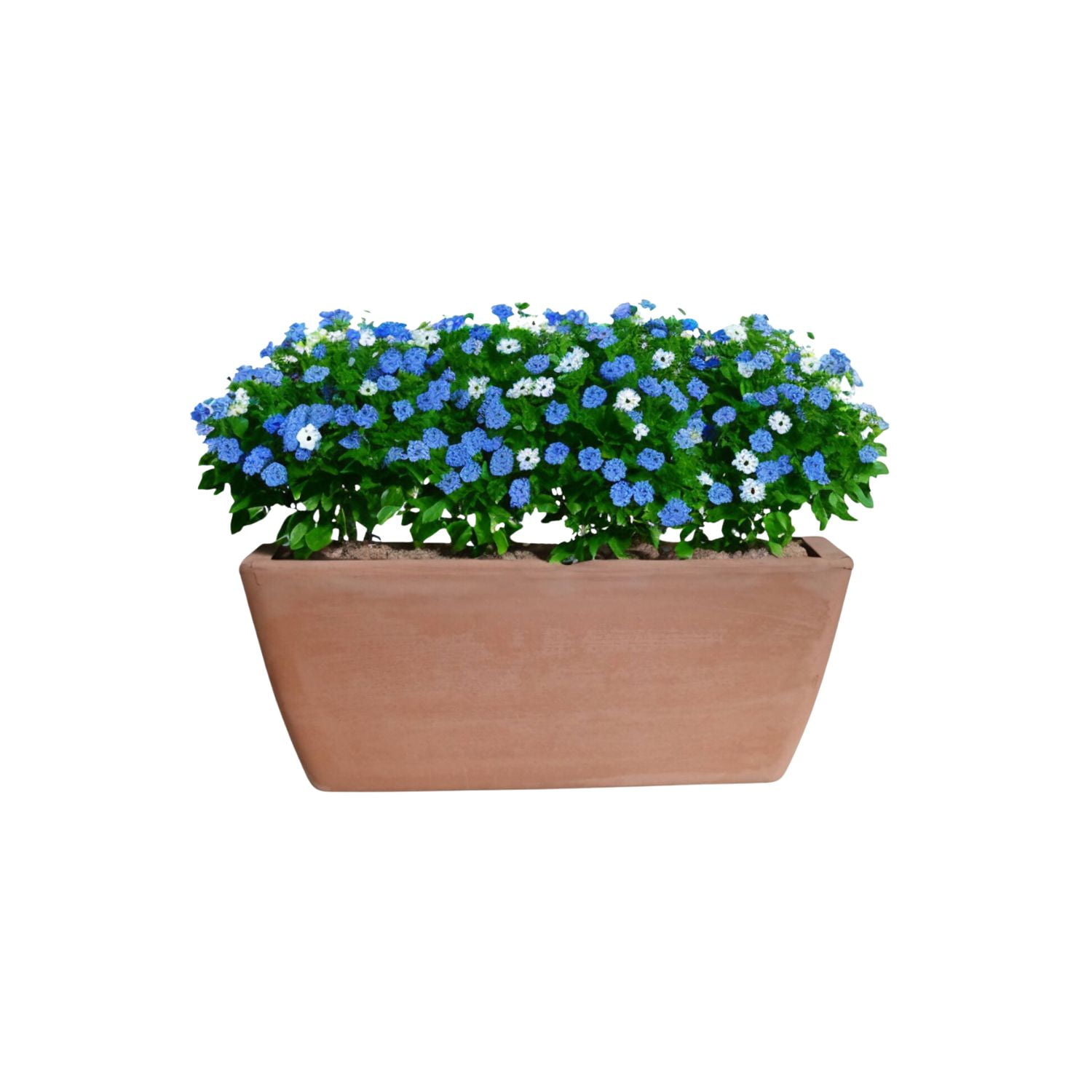 Deroma - Jardinera Rectangular Garda 32cm Terrarcilla