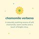 thumbnail image 3 of Shampoo Babyganics Espuma para Cuerpo Manzanilla 473ml, 3 of 9