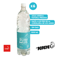 Pack 6 Agua Mineral Natural Summus Sin Gas 1500 Ml