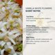 thumbnail image 4 of Aceite de Perfume Anthology 9 ml Vainilla y Flores Blancas, 4 of 9