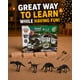 thumbnail image 4 of Kit de fósiles Science4you 46 piezas 4 dinosaurios, 4 of 9