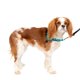 thumbnail image 1 of Arnés para perros PetSafe Easy Walk Deluxe No Pull Small Ocean, 1 of 8