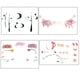 thumbnail image 1 of 4pcs Halloween Fun: Get Ready for the Party with Waterproof & Durable Temporary Tattoos!, 1 of 2