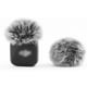 thumbnail image 1 of Paraviento LEFXMOPHY para DJI Mic Mini 2024, 1 of 3