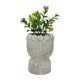 thumbnail image 3 of Planta artificial con macetero de cara de cemento, 3 of 4