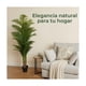 thumbnail image 2 of Planta Artificial Palmera Areca Alta 170 cm, 2 of 8