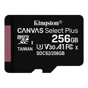 Kingston - Tarjeta De Memoria Sd 256Gb Xc Canvas Select Plus 100R C10 Uhs-I U3 V3