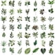 thumbnail image 3 of Stickers YOUTHSTORE Hoja Verde 50 Unidades Scrapbooking, 3 of 3