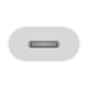 thumbnail image 2 of Adaptador De Género De Cable Muqx3zm a Usb c A Lightning, 2 of 3