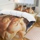 thumbnail image 2 of Chris Hemsworth Bedding Sets Ultra Soft Skin Friendly Duvet Cover 3 Piece Cute Comforter Cover Bed Set, 2 of 3