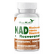 thumbnail image 1 of Nad + Rasveratrol Nicotinamide Adenina Dinocle 500mg 60 Cáps, 1 of 2
