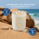 thumbnail image 2 of Candle Living Good Candle Co. Coastal Breeze, Yuzu y sal marina, 2 of 9