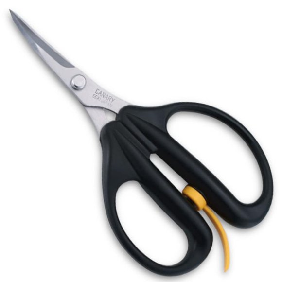 Tijeras CANARY de 6.3 pulgadas con puntas curvas y afiladas con resorte