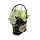 thumbnail image 2 of Planta Artificial Canastito Macetero Cordel Ovalado Deco blanco, 2 of 6