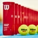 thumbnail image 1 of Pelota Pádel Performance X3 Wilson Tarro 3 Unid Profesional, 1 of 3