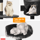 thumbnail image 2 of Rascador Arbol Para Gatos  Belug Caseros Torre Yute 116cm  negro, 2 of 4