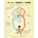 thumbnail image 5 of Historias del cuerpo humano en 5 minutos, 5 of 5