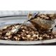 thumbnail image 2 of Brillantina Meyer Imports 28 g Copos de mica color cobre #311-4326, 2 of 6