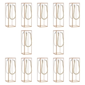 Bothyi - 12X Cajas De Regalo Transparentes Cajas De Flores Simples Para La Boda De Fiesta De Aniversario