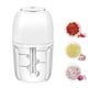 thumbnail image 1 of 450ml Trituradora Eléctrica De Ajo Mini Procesador Portátil De Alimentos Trituradora De Ajo Para Cebolla Jengibre Chile Fruta Verdura Carne, 1 of 3