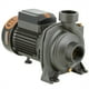 thumbnail image 1 of Bomba Superficie Centrífuga Gran Caudal 2HP BHFM5AM, 1 of 5