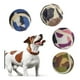thumbnail image 3 of Pack 2 Pelotas Tenis Para Perros Juguete Bola Para Mascotas, 3 of 3