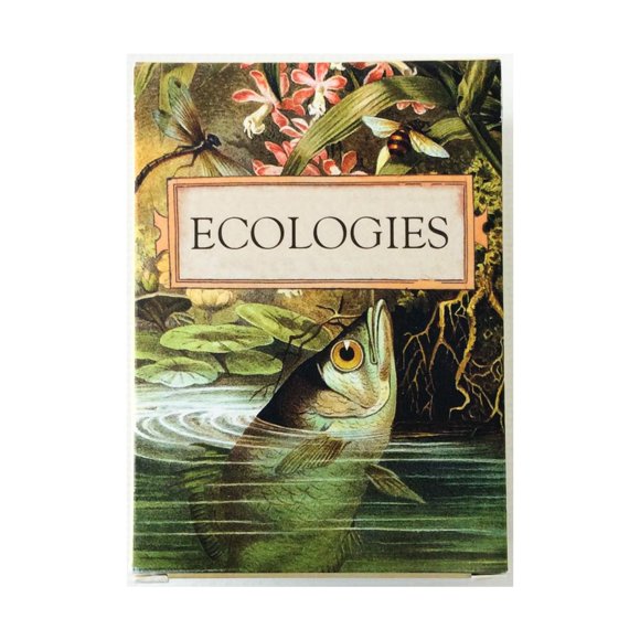 Juego de Cartas Montrose Biology Ecologies – 108 cartas