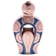 thumbnail image 2 of Perfume Sultan Al Mashriq Para Mujer 15 Ml Aceite Concentrado, 2 of 7