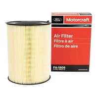 Filtro Aire Motorcraft Ford Escape / Focus 2012-2019