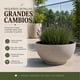 thumbnail image 5 of Macetero Plastico Semi Esfera Premium Diseño a Rayas M beige, 5 of 9